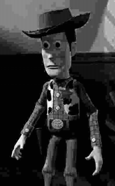 Woody Toy Story Cowboy Hat And Plaid Shirt GIF