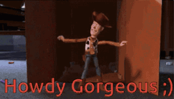 Woody Toy Story Howdy Gorgeous GIF