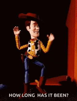 Woody Toystory GIF