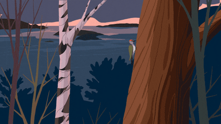 Woody Woodpecker Laugh Nature Animation GIF
