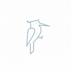 Woody Woodpecker Laugh Studio GIF