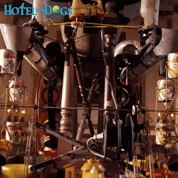 Woof Hotel Dogs GIF