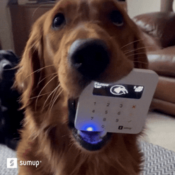 Woof Visa Scan GIF