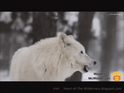 Woofer Mc Wooferson Happy Halloween GIF