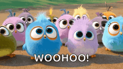 Woohoo Meme Angry Birds Cute GIF