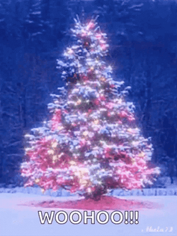 Woohoo Meme Christmas Tree Glowing Lights GIF
