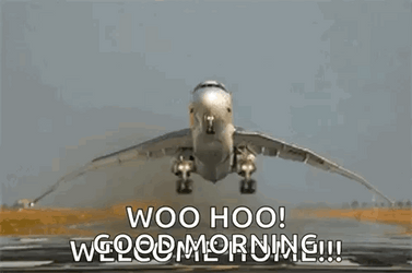 Woohoo Meme Good Morning Welcome Home Airplane GIF