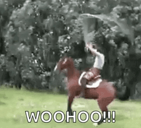Woohoo Meme Horseback Riding Equestrian GIF