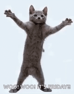 Woohoo Meme It's Friday Cat Dance GIF
