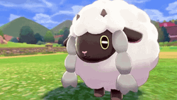 Wooloo Alone In The Middle Of The Farm GIF