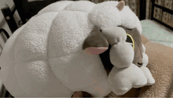 Wooloo Going To Sleep GIF