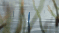 Wooper In The River GIF