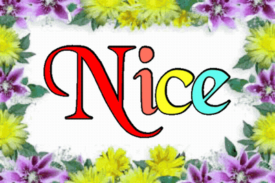 Word Nice Surrounded By Colorful Flowers GIF