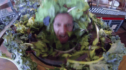 Word Salad Silly Guy Bathing In Salad GIF