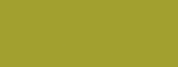 Wordle Birthday Olive Green Background GIF