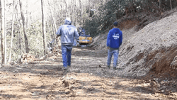 Work Bestie Walks At The Forest GIF