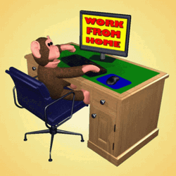 Work From Home Cartoon Monkey GIF