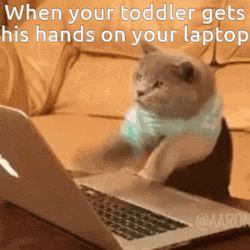 Work From Home Cat Typing So Fast GIF
