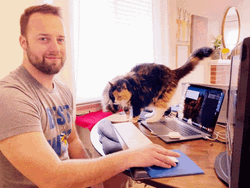 Work From Home Guy With His Cat GIF