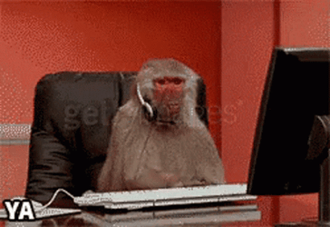 Work From Home Monkey GIF