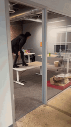 Work Party Get's Exciting GIF