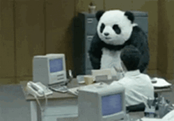 Work Stress Angry Tantrum Panda GIF