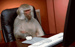 Working Angry Monkey GIF