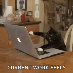 Working El Gato Meme GIF