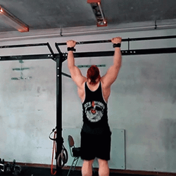 Working Out Pull Ups Gym Exercise GIF