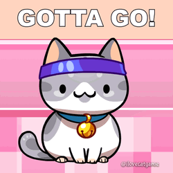 Workout Cat Gotta Go GIF