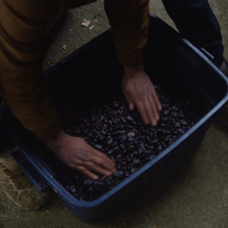 World Crop Lost GIF