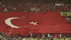 World Cup Audience Raising Giant Türkiye Flag GIF