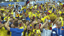 World Cup Audience Rejoicing GIF