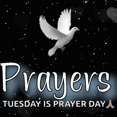 World Day Of Prayer Greeting Card With Cross GIF