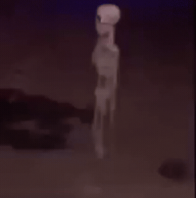 Worm Costume Saying Stand Ready For My Arrival GIF