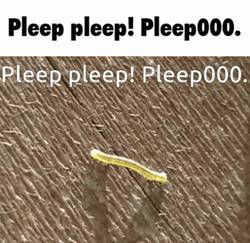 Worm Crawling Pleep Pleep GIF