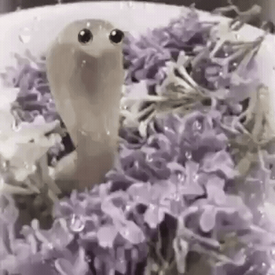 Worm With Big Eyes Crawling On Purple Flowers GIF