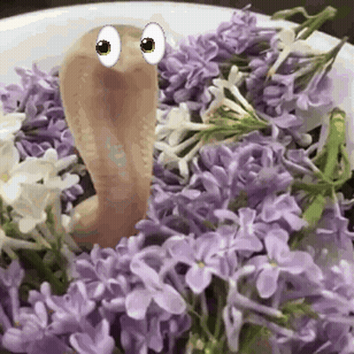 Worm With Big Eyes Crawling Through Purple Flowers GIF