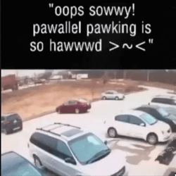 Worst Parallel Parking Mishap GIF