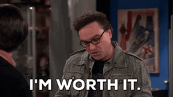 Worth It Big Bang Theory Leonard Hofstadter GIF