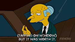 Worth It The Simpsons Mr Burns GIF