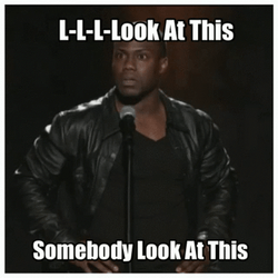 Would You Look At That Confused Kevin Hart GIF