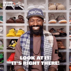 Would You Look At That Desus Nice GIF