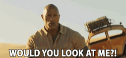 Would You Look At That Dwayne The Rock GIF