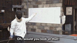 Would You Look At That Fencing Game GIF