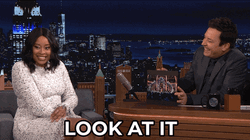 Would You Look At That Jimmy Fallon GIF