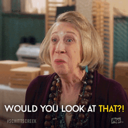 Would You Look At That Robin Duke GIF