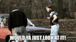 Would You Look At That YouTuber Ed Bassmaster GIF