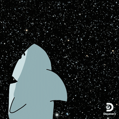 Wow. Shark Week. GIF