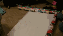 Wrapping Gift Cat GIF